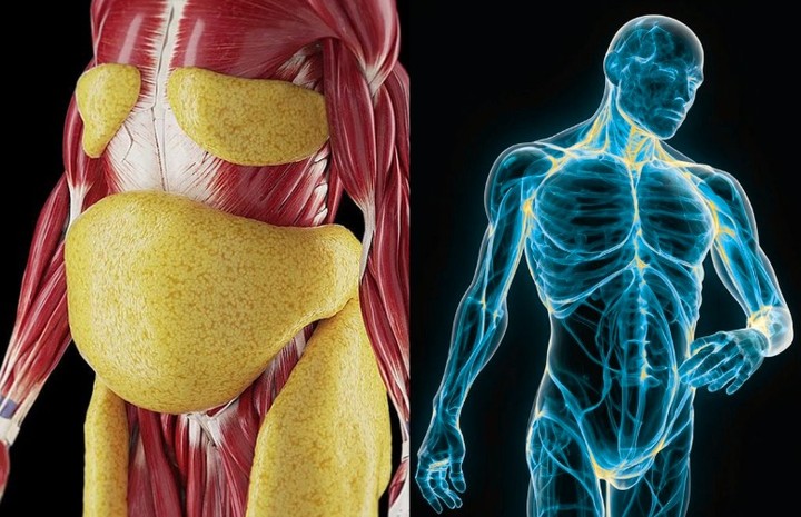 Melt Fat & Build Muscle Fast: My Proven Full-Body Workout&nbsp;Plan