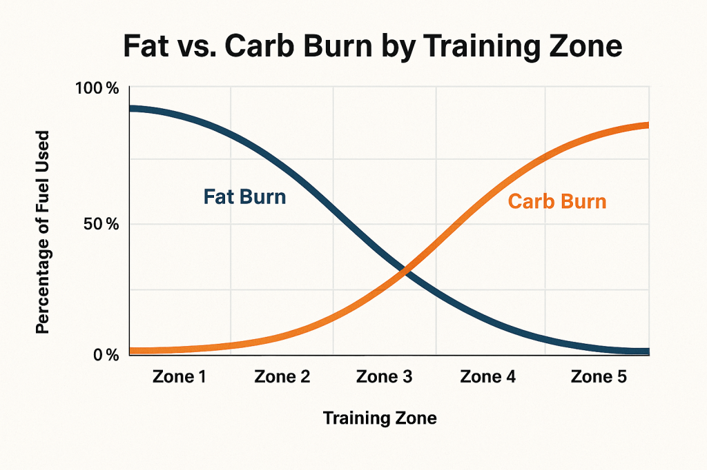 Chart comparing fat vs. carbohydrate usage in different heart rate zones